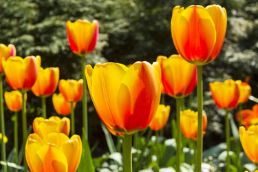 Similar image 21137917