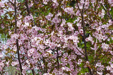 Similar image 21137918