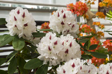 Similar image 21137919