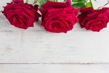 Similar image 21165355