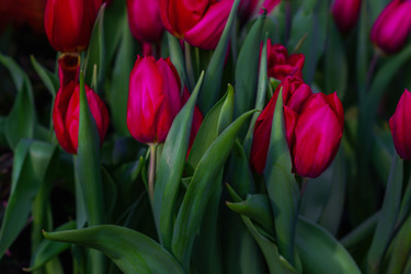 Similar image 21165610