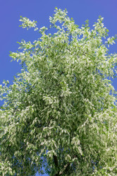 Similar image 21165624