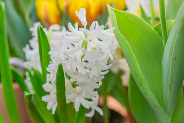 Similar image 21165626