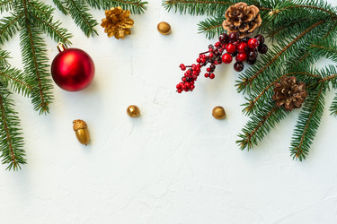 Similar image 21161733