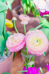 Similar image 21166438