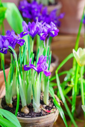 Similar image 21166439