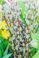 Similar image 21164611