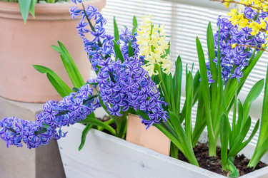 Similar image 21164613