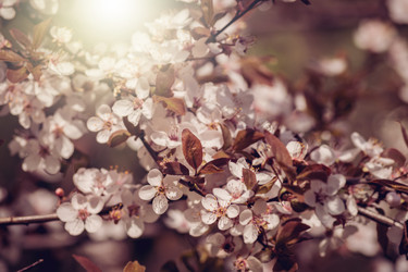 Similar image 21164615