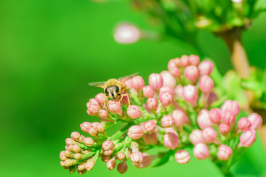 Similar image 21164621