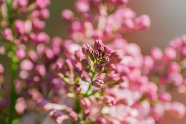 Similar image 21164626