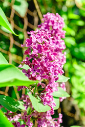 Similar image 21164627