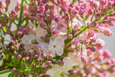 Similar image 21164630