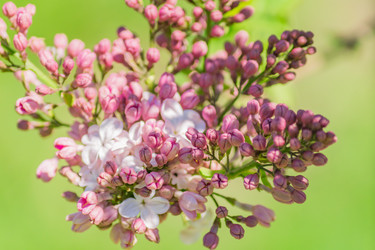 Similar image 21165015