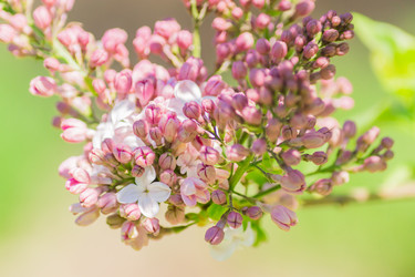 Similar image 21165017