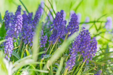 Similar image 21165019