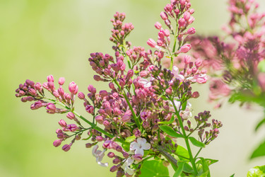 Similar image 21165023