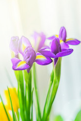 Similar image 21165024