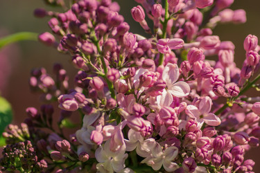 Similar image 21165025