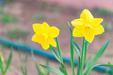 Similar image 21165026