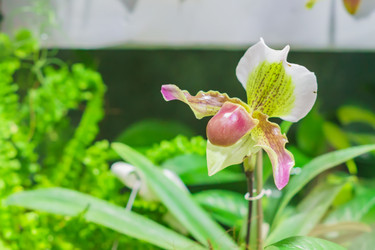 Similar image 21165029