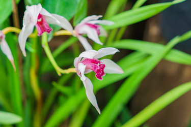 Similar image 21165031