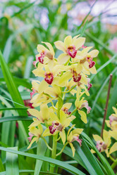 Similar image 21165033