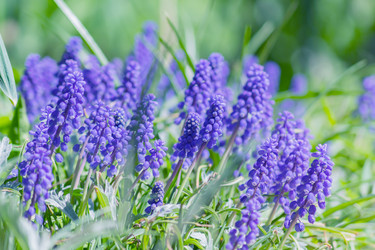 Similar image 21165040