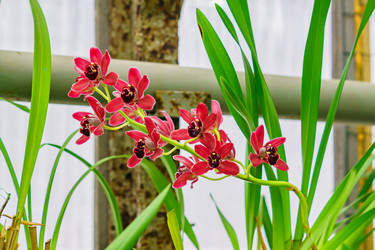 Similar image 21165042