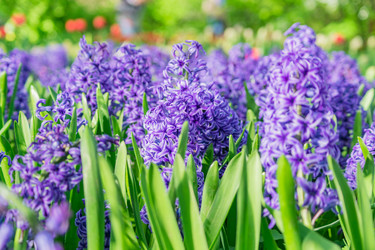 Similar image 21165043