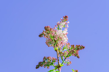 Similar image 21165044