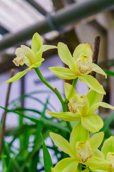 Similar image 21165050