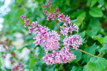 Similar image 21165051