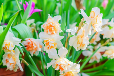 Similar image 21165362