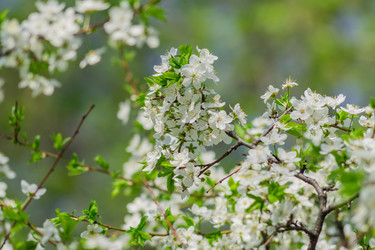 Similar image 21165364