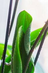 Similar image 21165376