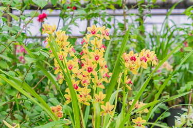 Similar image 21165381