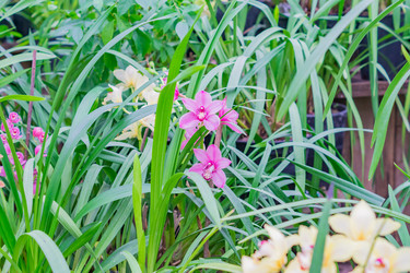 Similar image 21165383