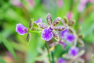 Similar image 21165391