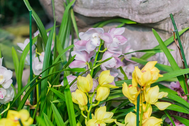 Similar image 21165392