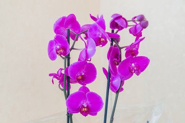 Similar image 21165396