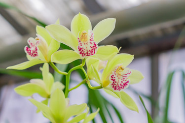 Similar image 21165630