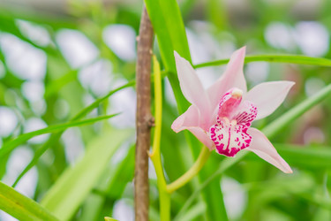 Similar image 21165632