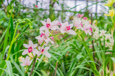 Similar image 21165635