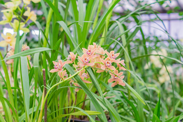 Similar image 21165636