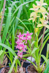 Similar image 21165637