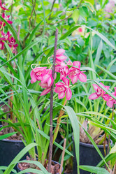 Similar image 21165638