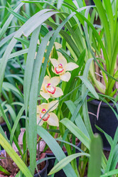 Similar image 21165639