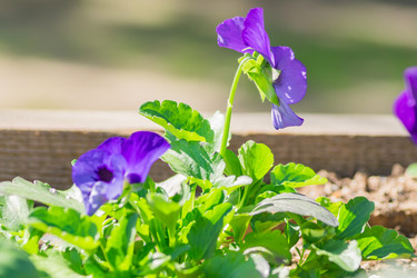 Similar image 21165645