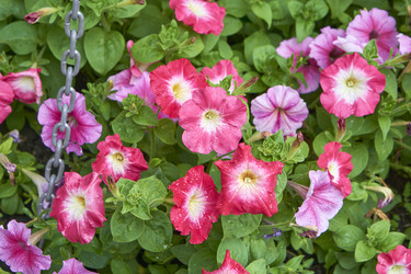 Similar image 21137793